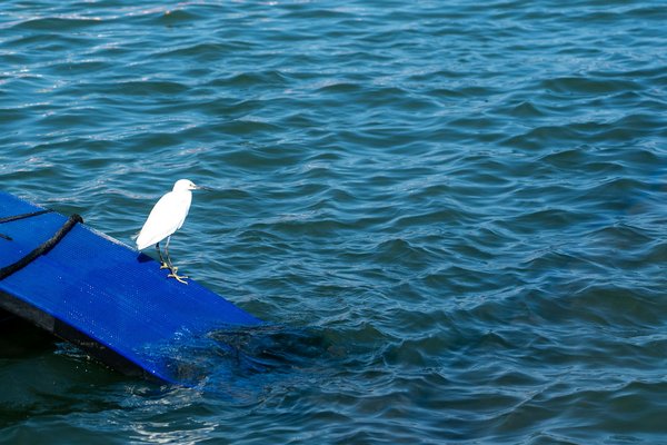 Are There Emerging Trends in Public Health Initiatives in the UK?